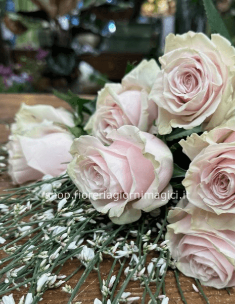 Rose colore rosa da comporre in mazzo per numero di steli.