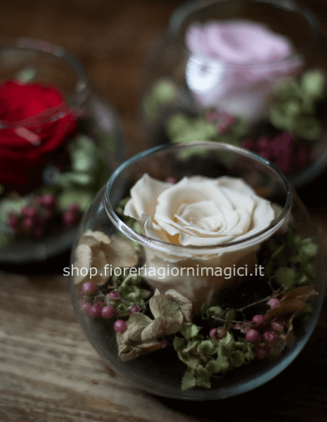 Rosa stabilizzata in boule di vetro