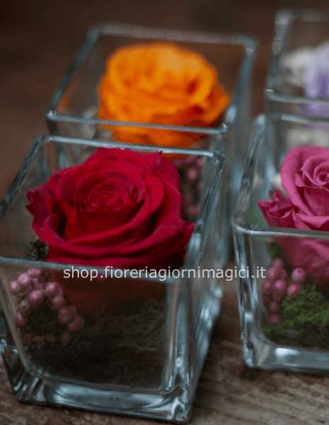 Cubo in vetro con rosa stabilizzata (acquisto minimo 2 pezzi)