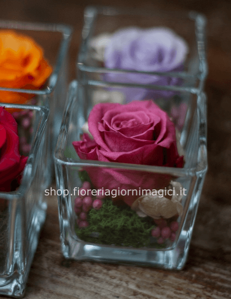 Cubo in vetro con rosa stabilizzata mini (acquisto minimo 3 pezzi)