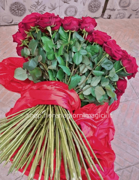 100 rose rosse gambo lungo